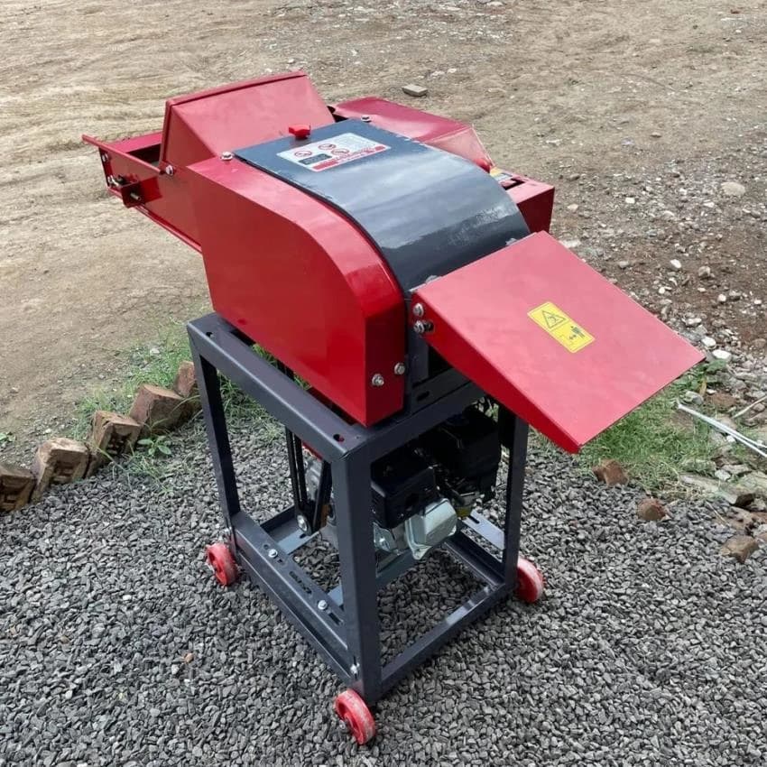 1HP Electric Chaff Cutter, Cutting Capacity: 100 kg/hr