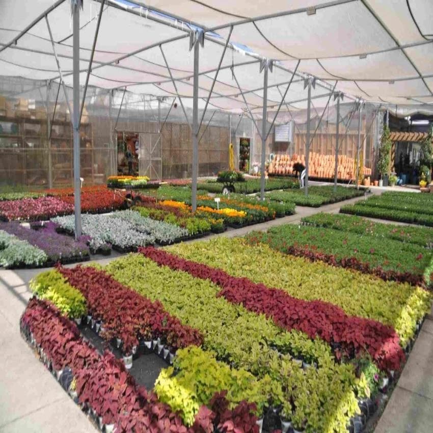 Verticle Full Sun Exposure Vertical Garden Plants