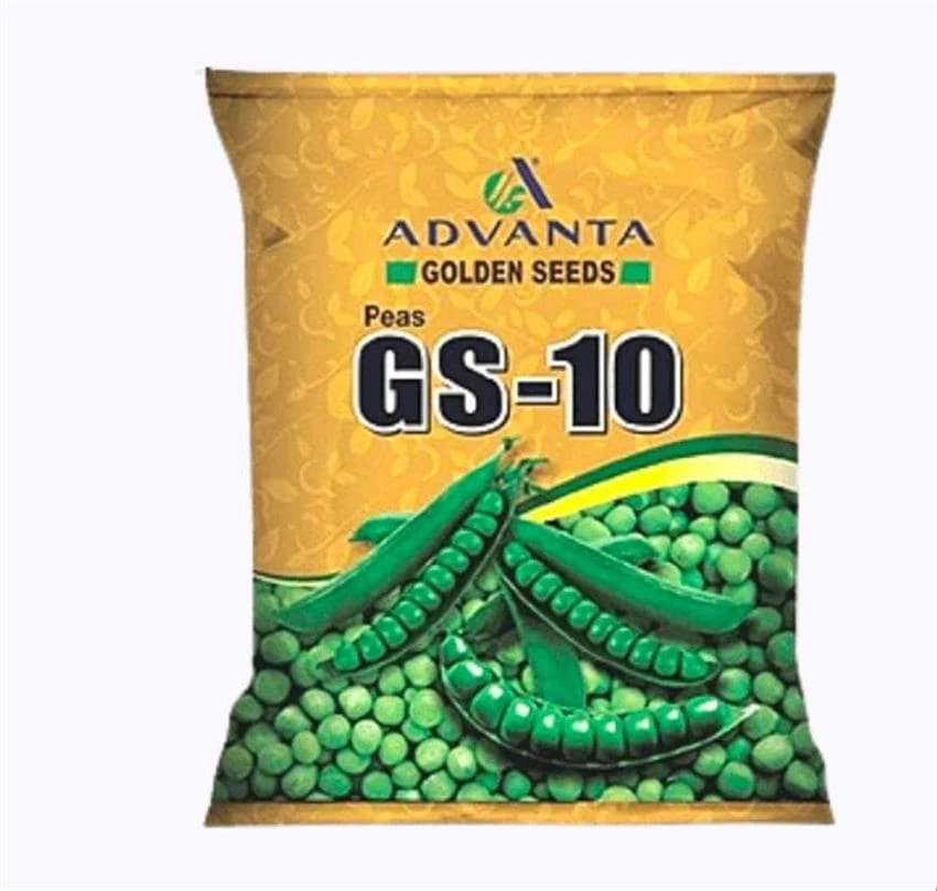 Hybrid Green Pea Seeds, Packaging Type: Pouch, Packaging Size: 1 kg