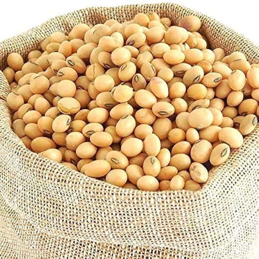 KDS 726 100% Pure Organic Soybean Seeds, Packaging Size: 100 g