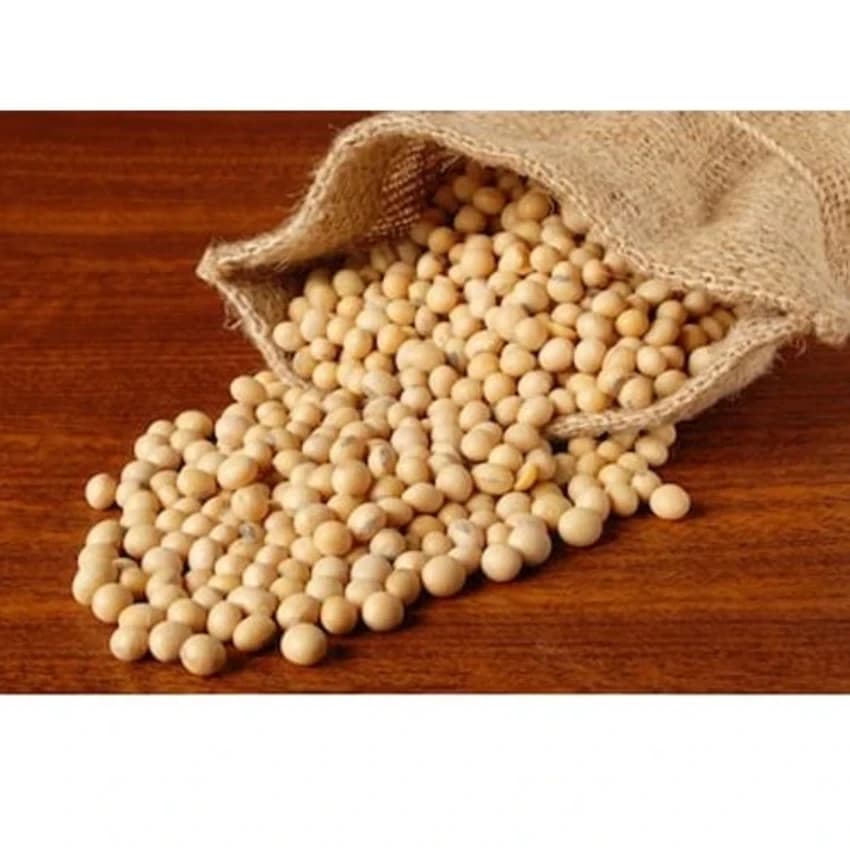 Krishna Soybean Seeds, Pack Size: 50 Kg