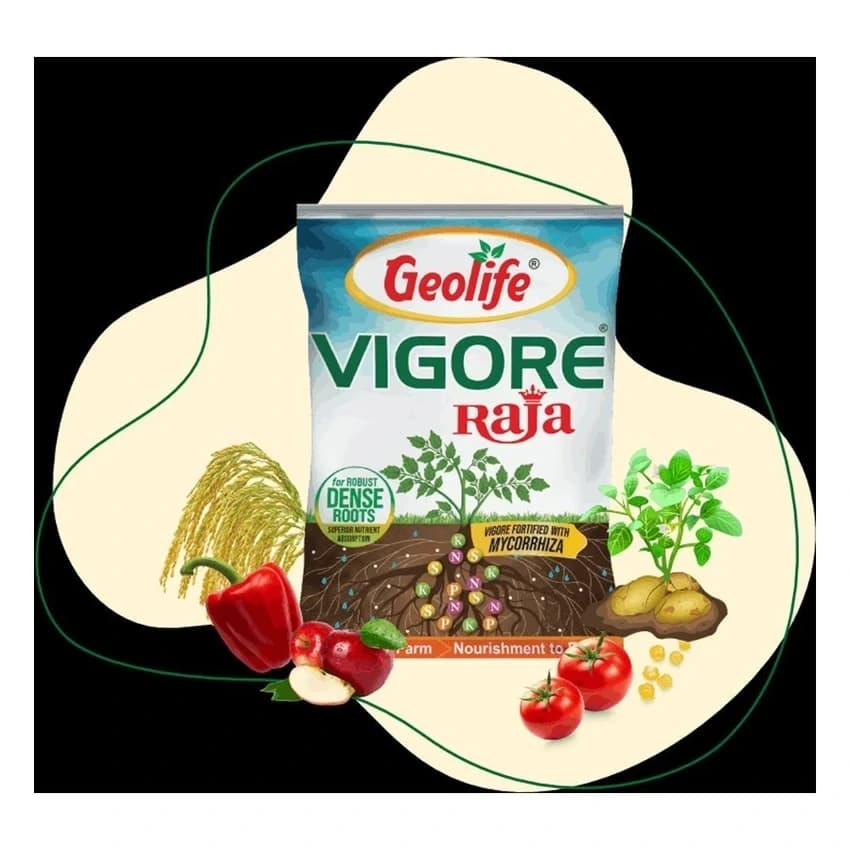 Bio Tech Grade Powder Vigore Raja, Packaging Type: Packet, 1 Kg
