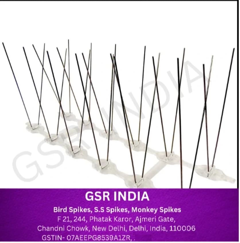 3 Inch Stainless Steel Anti Bird Spike Strips