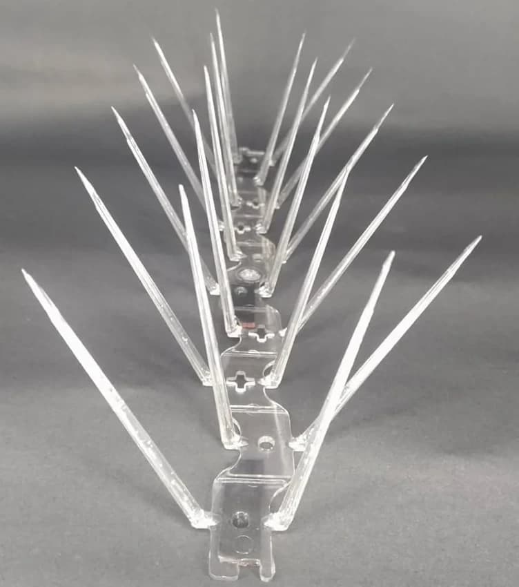 Polycarbonate Anti Bird Spikes, For Buildings, Size: 1 Feet