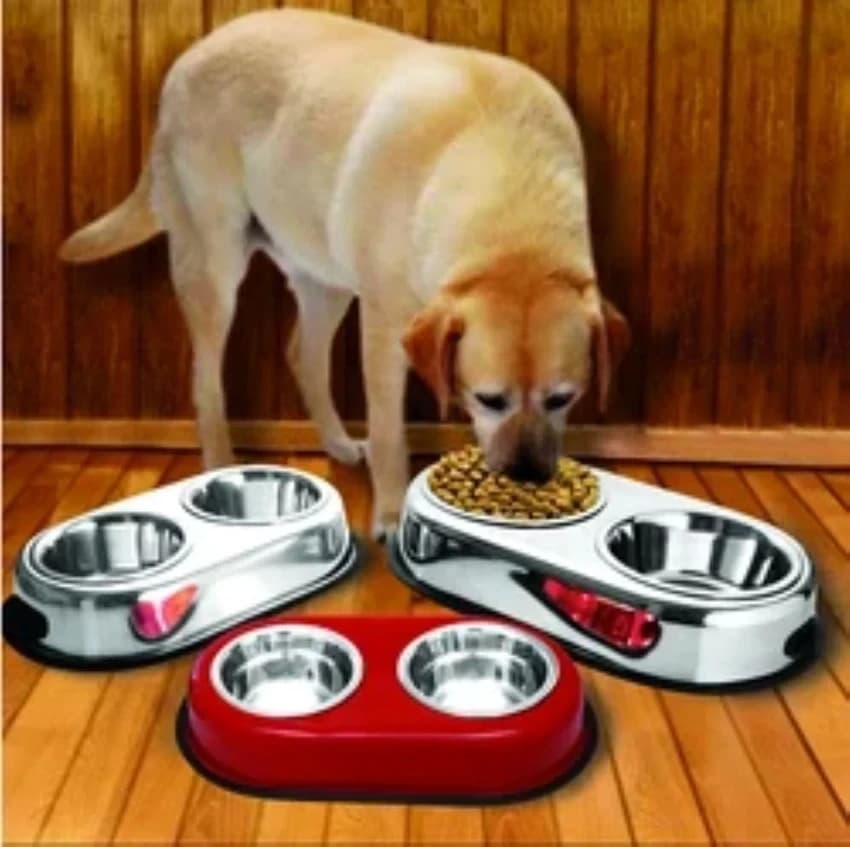 Anti Skid Colored Double Diner With Bowl