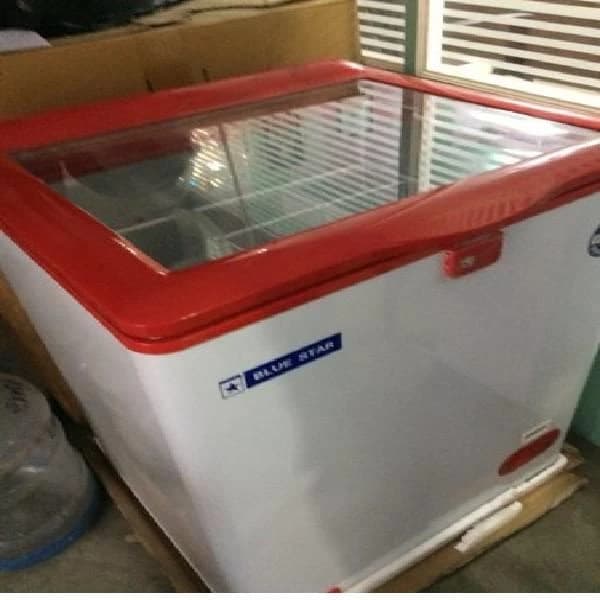 Blue Star Sliding Glass Top Deep Freezer