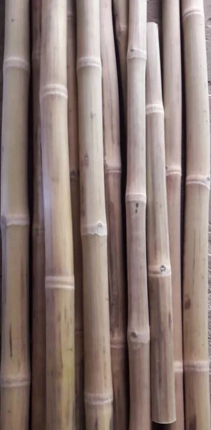 Round 12 Feet Dry Bamboo Poles