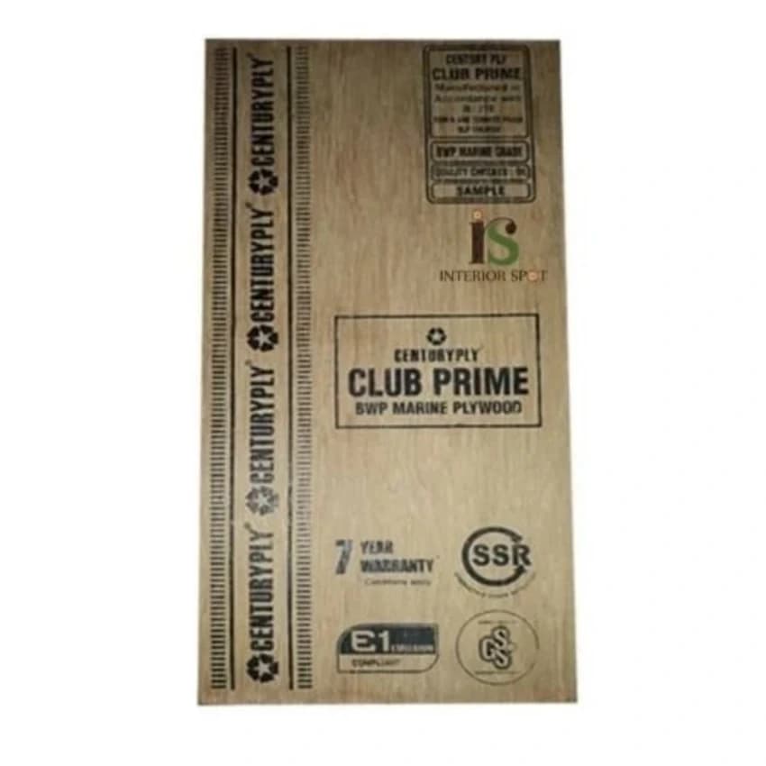 Century Club Prime Plywood, 19 mm