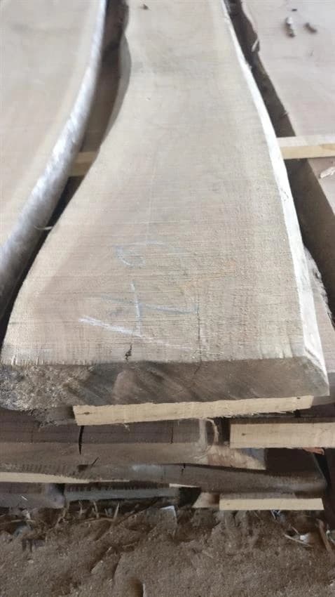 2.5 & Up Back Walnut Wood, For Furniture