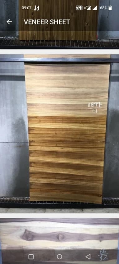 Recon Veneer Sheet