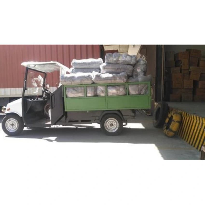 2 Seater Electric Buggy Cargo