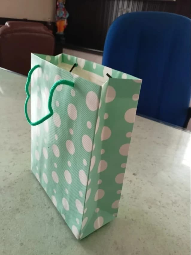 Green Printed Paper Bag, For Shopping, Capacity: 1 Kg