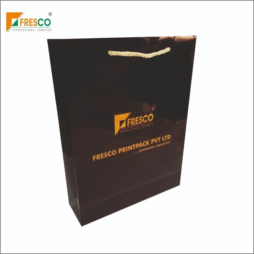 Metallic Color Printed Paper Bag With Metallic Rope Handle, Capacity: 2kg