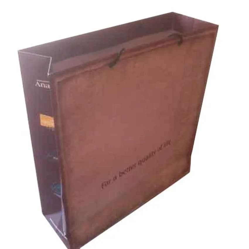Duplex Board Brown Paper Carry Bag, For Shopping, Capacity: 2kg