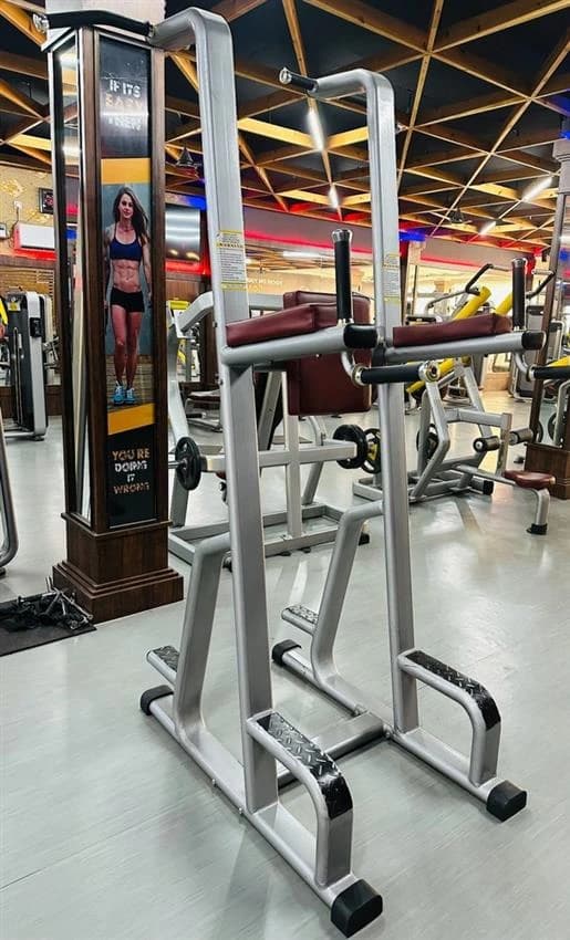 MS Chin Up Bar, For Gym