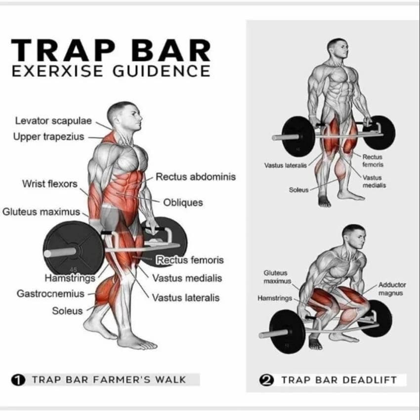 Fitrxx Heavy Duty Steel Dead Lift, Hex, Squat, Trap, Shrug Bar with Handles.
