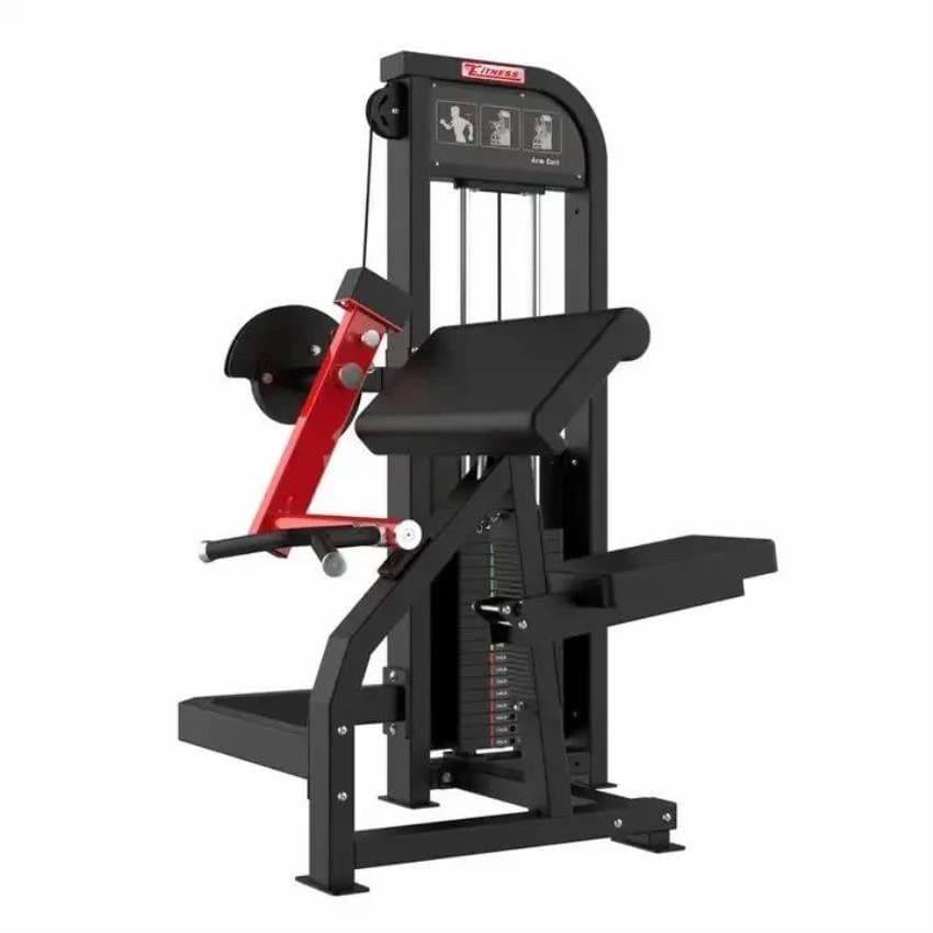 Bicep Curl Machine, Model Name/Number: Rf15