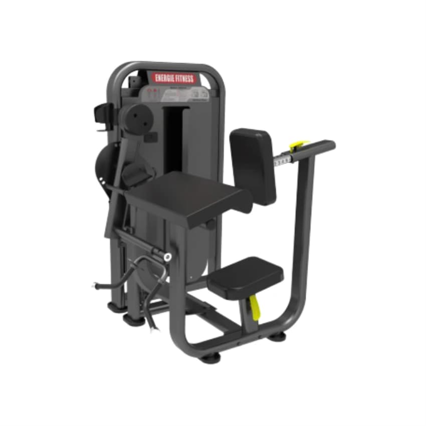 Commercial Energie Fitness EFT-0607 Biceps Triceps Machine, For Gym, Weight: 156 Kg
