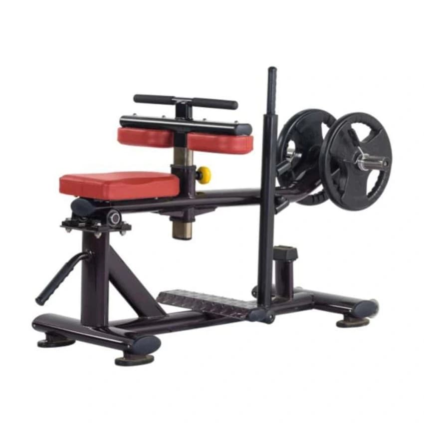 Seated Calf Machine, N.w.: 31.5kg G.w.: 42kg, Model Name/Number: H - 029