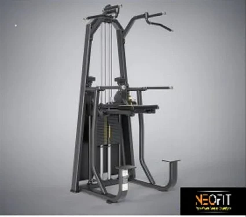Gym Machine Assist Dip Chin, Number Of Stations: 1, Model Name/Number: Neofit