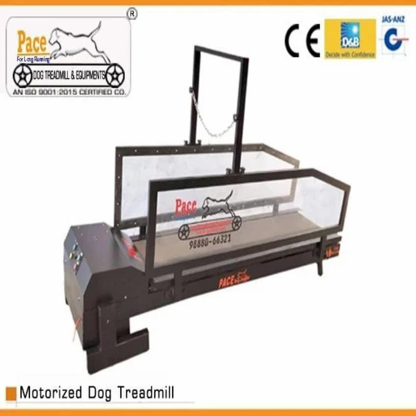 6FT Motorized Dog Treadmill