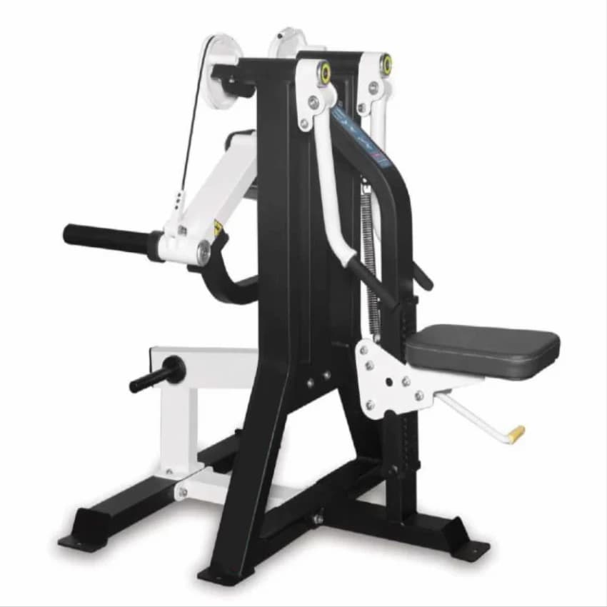 Shoulder Free Weight Side Lateral Raise