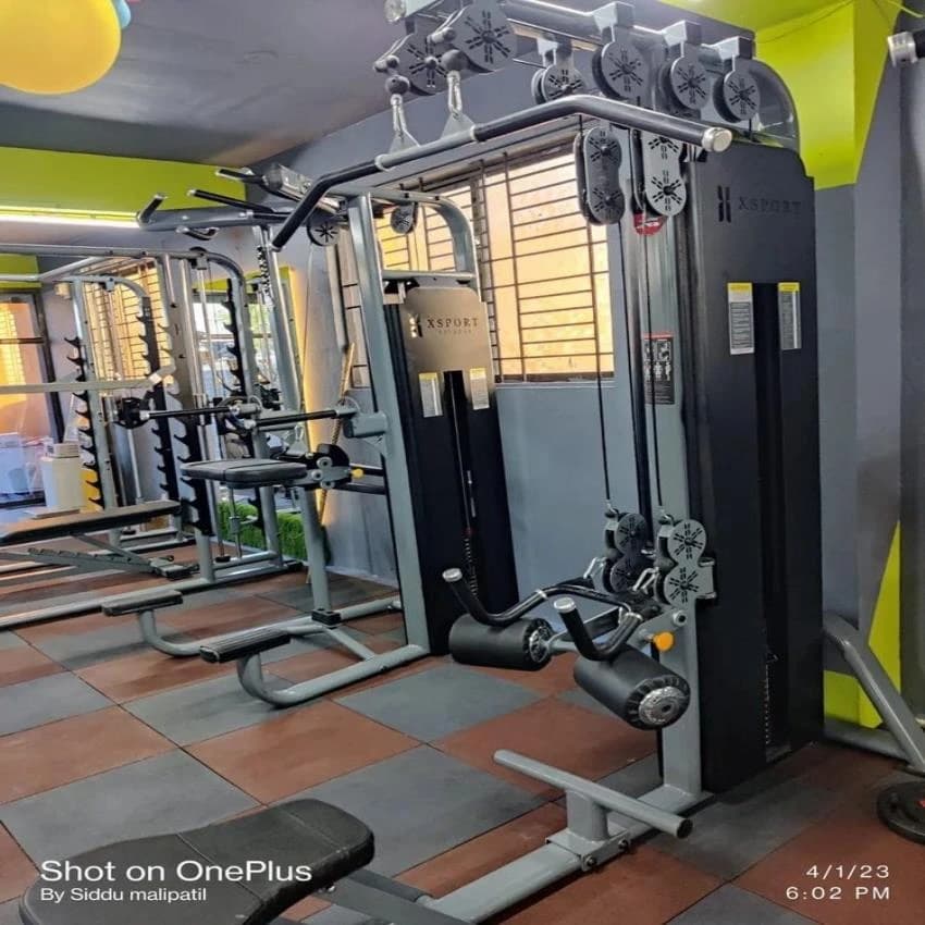 Xsport Fitness Glossy Lat Pulldown Machine, Size: 151x142x226, Model Name/Number: Xsp 530