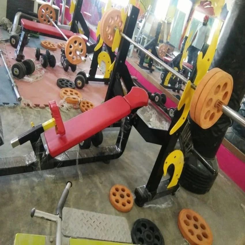 Multi Purpose Incline Bench