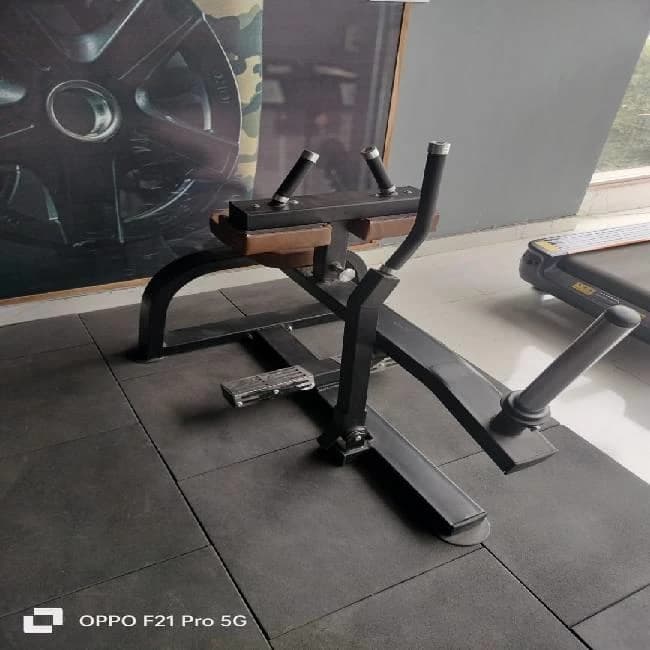 Seated Calf Machine