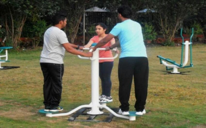 Standng Twister, For Park