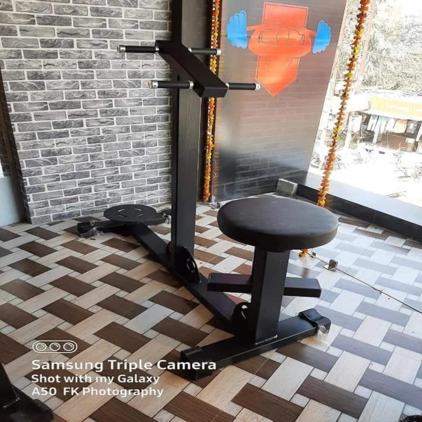 Commercial Fitness Twister Dual