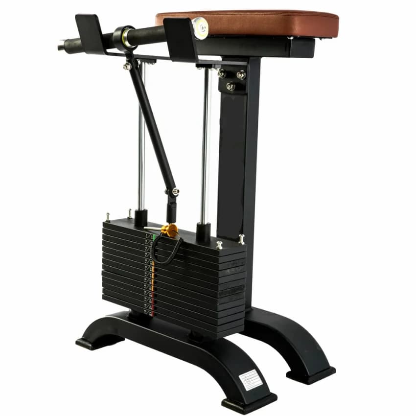 Wrist Curl Machine, For Gym, Size: Standard