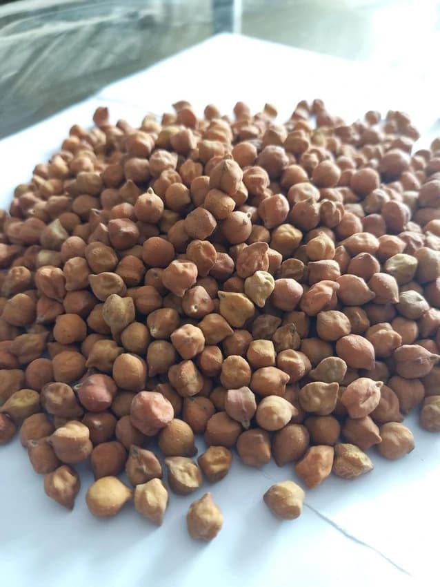 Brown Dried Desi Chana, Packaging Type: Loose