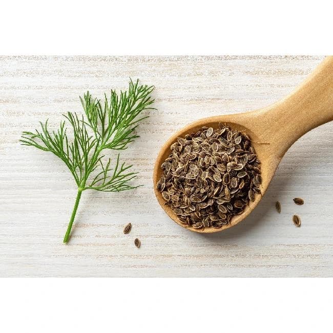 Dill Seeds