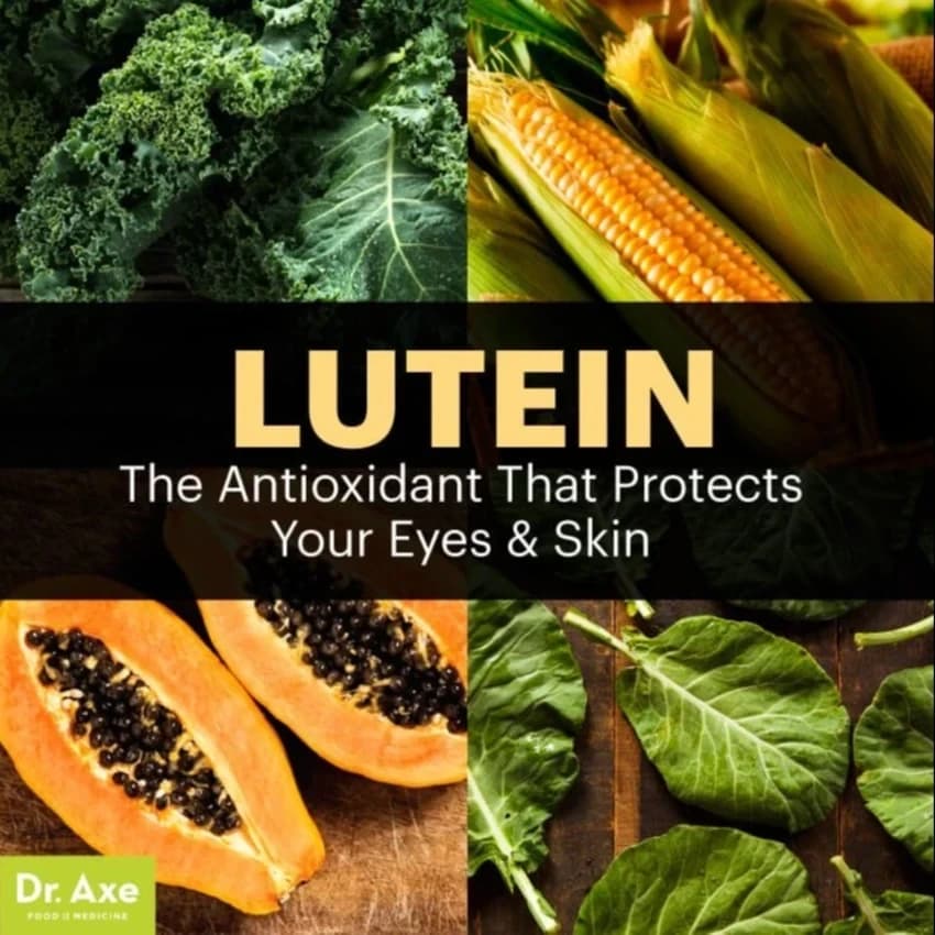 Lutein Powder PURE