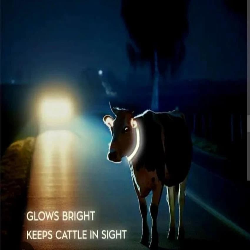 Reflective Tape For Cow