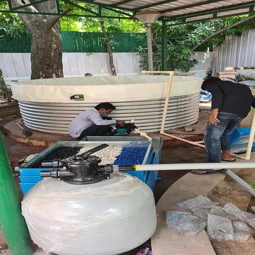 Backyard Recilcuratory Aquaculture System
