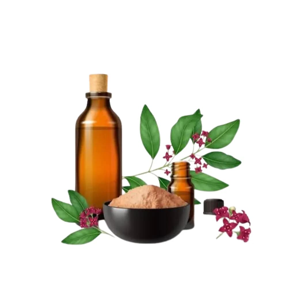 Ayurvedic Medicine