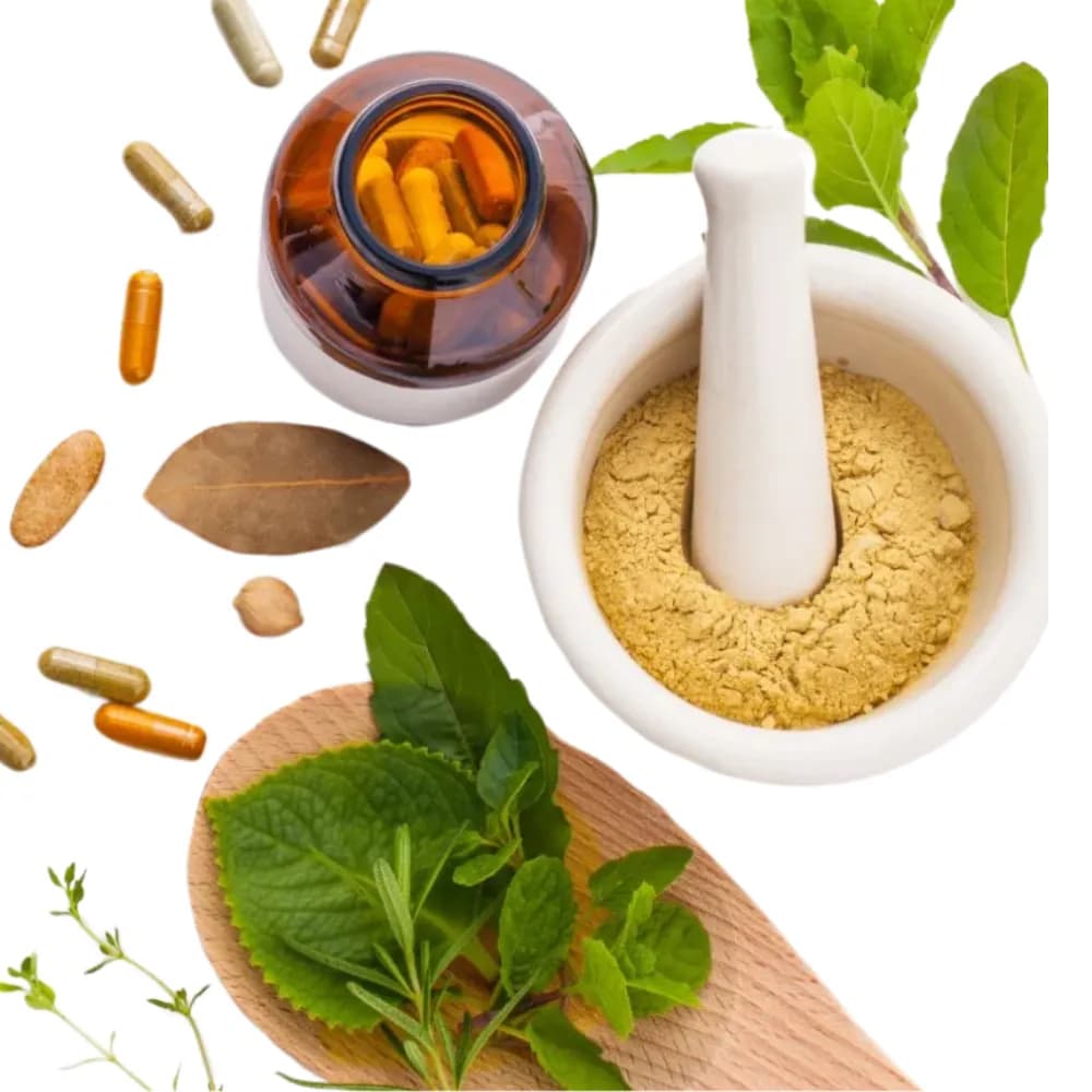 Ayurvedic, Herbal Products & Medicine