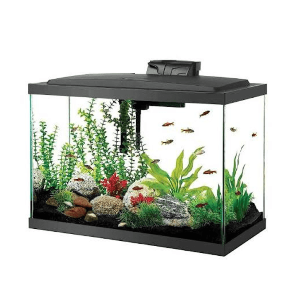 Aquarium Tank