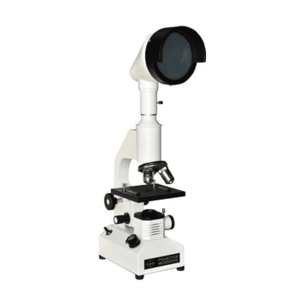 Projection Microscope