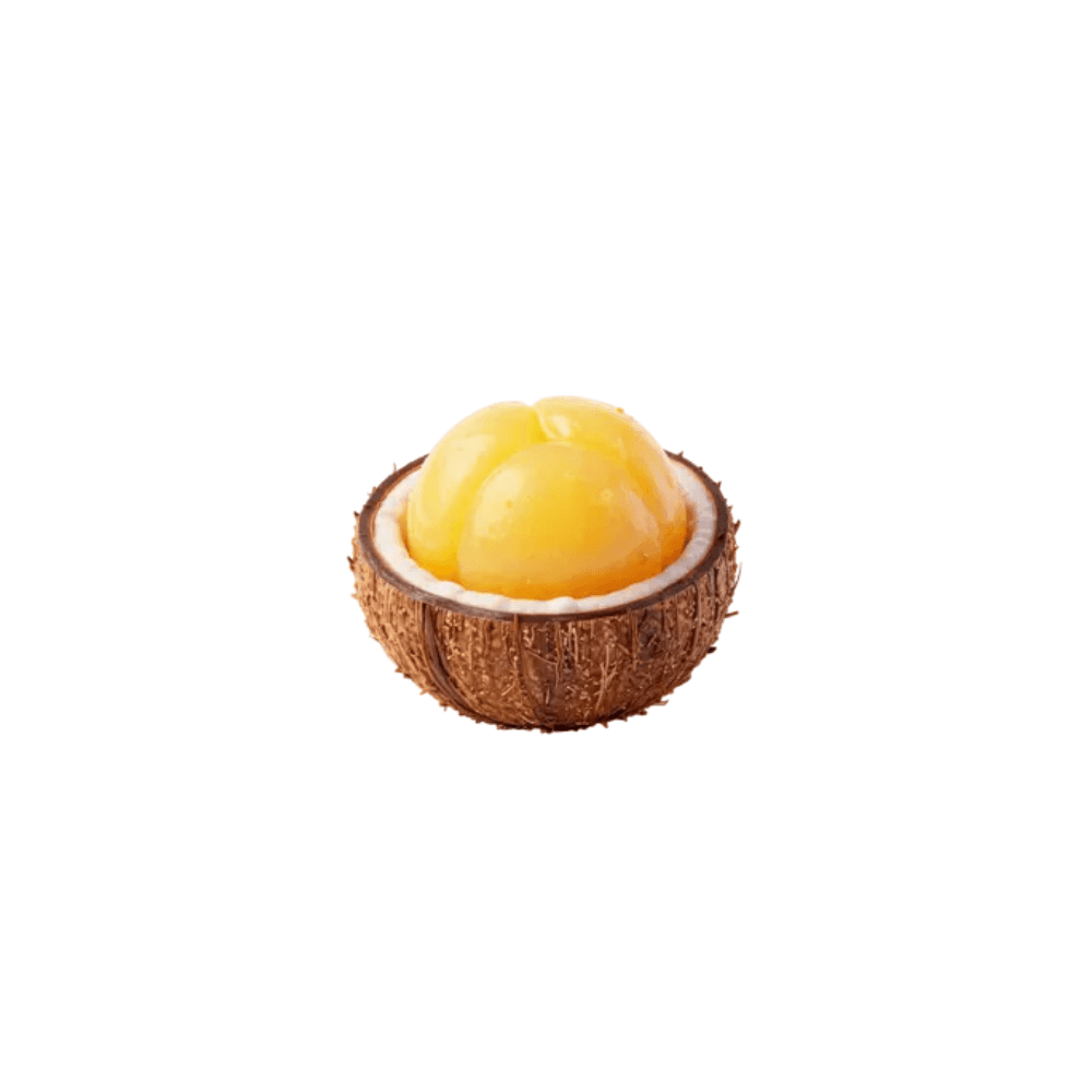 Coconut Jelly