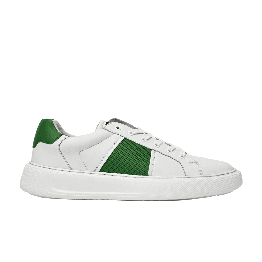 Sneaker Shoes