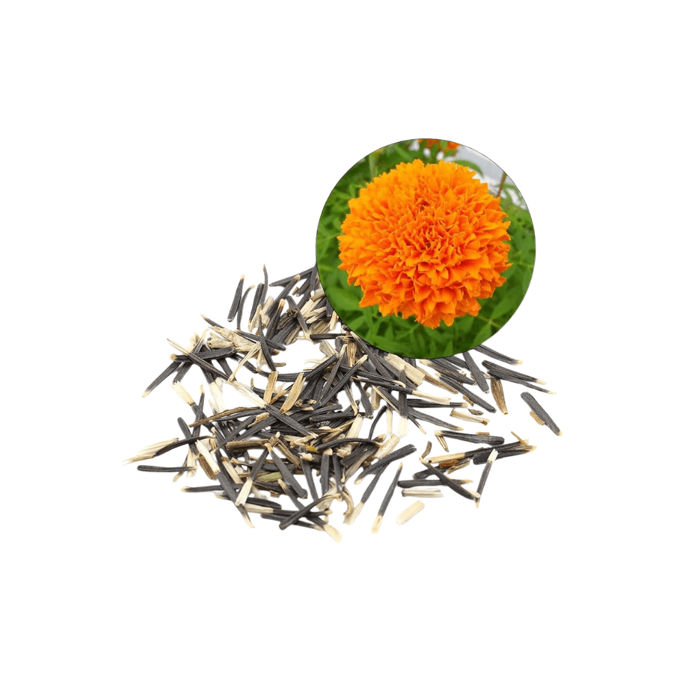 Marigold Seeds