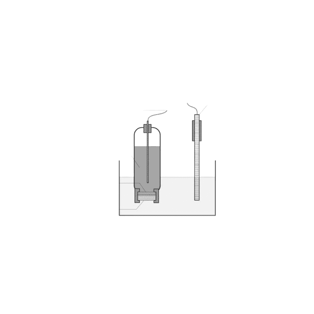 Ion Selective Electrodes