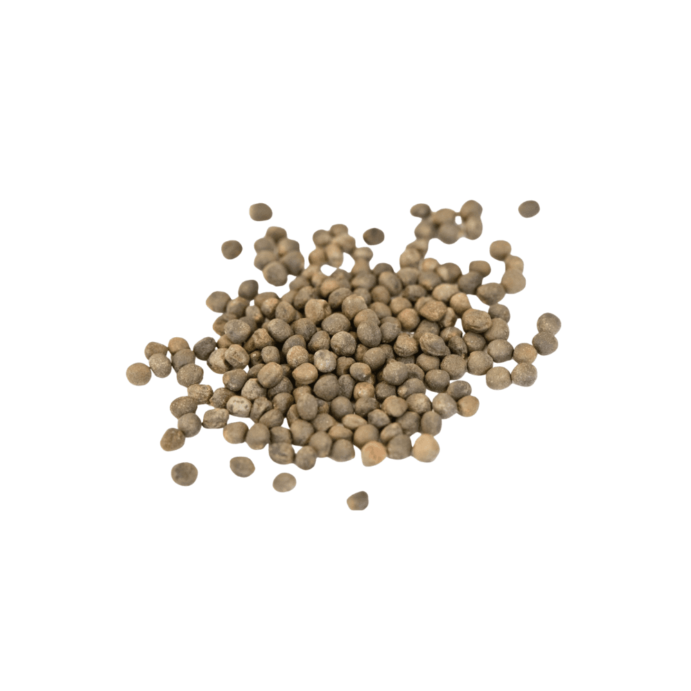 Cauliflower Seeds