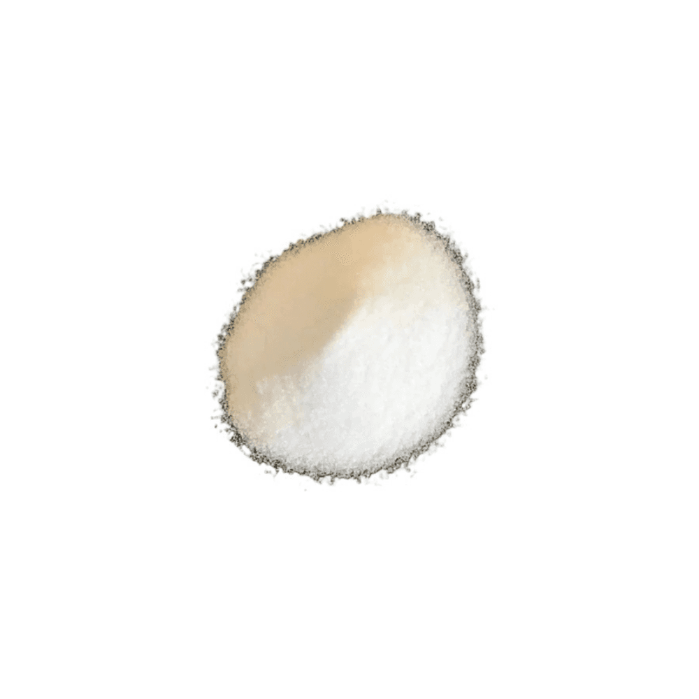 Pharmaceutical Excipients
