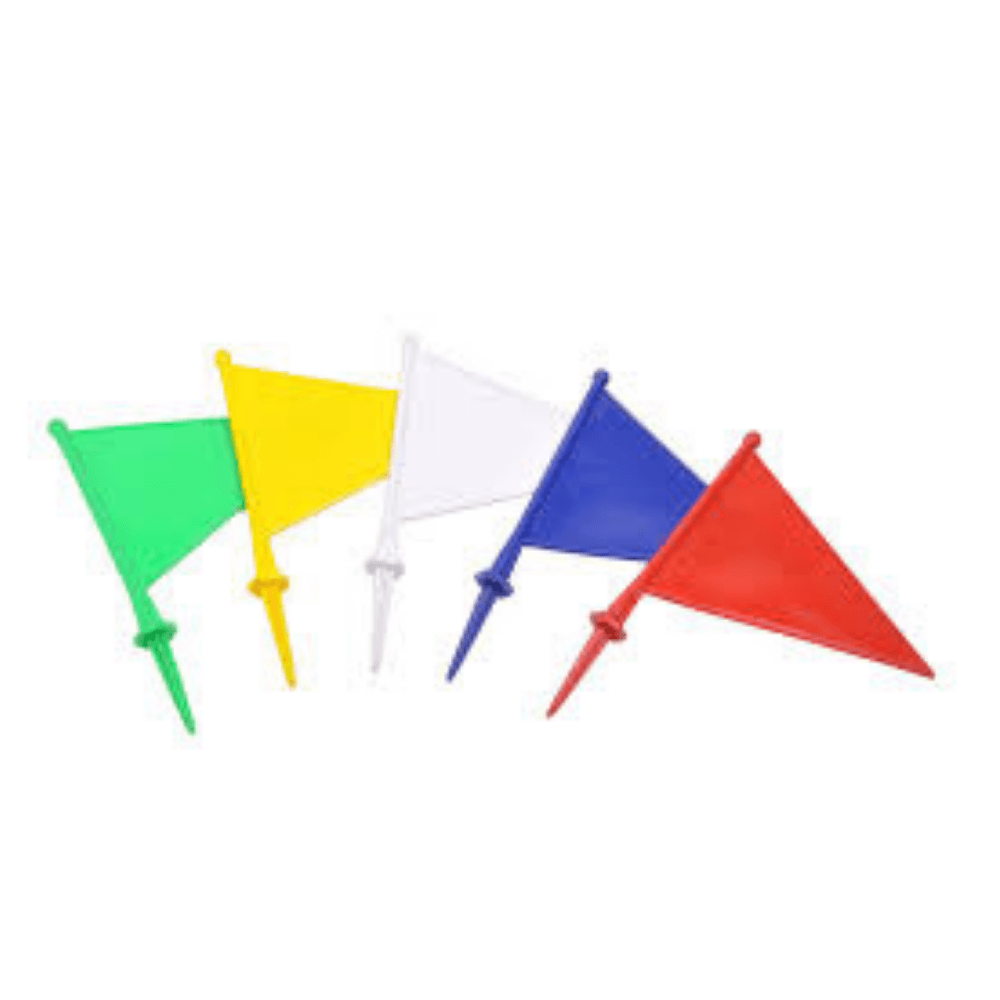 Boundary Flag