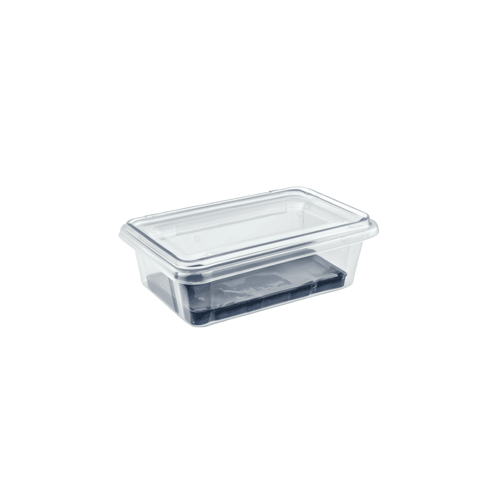 Disposable Plastic Food Container