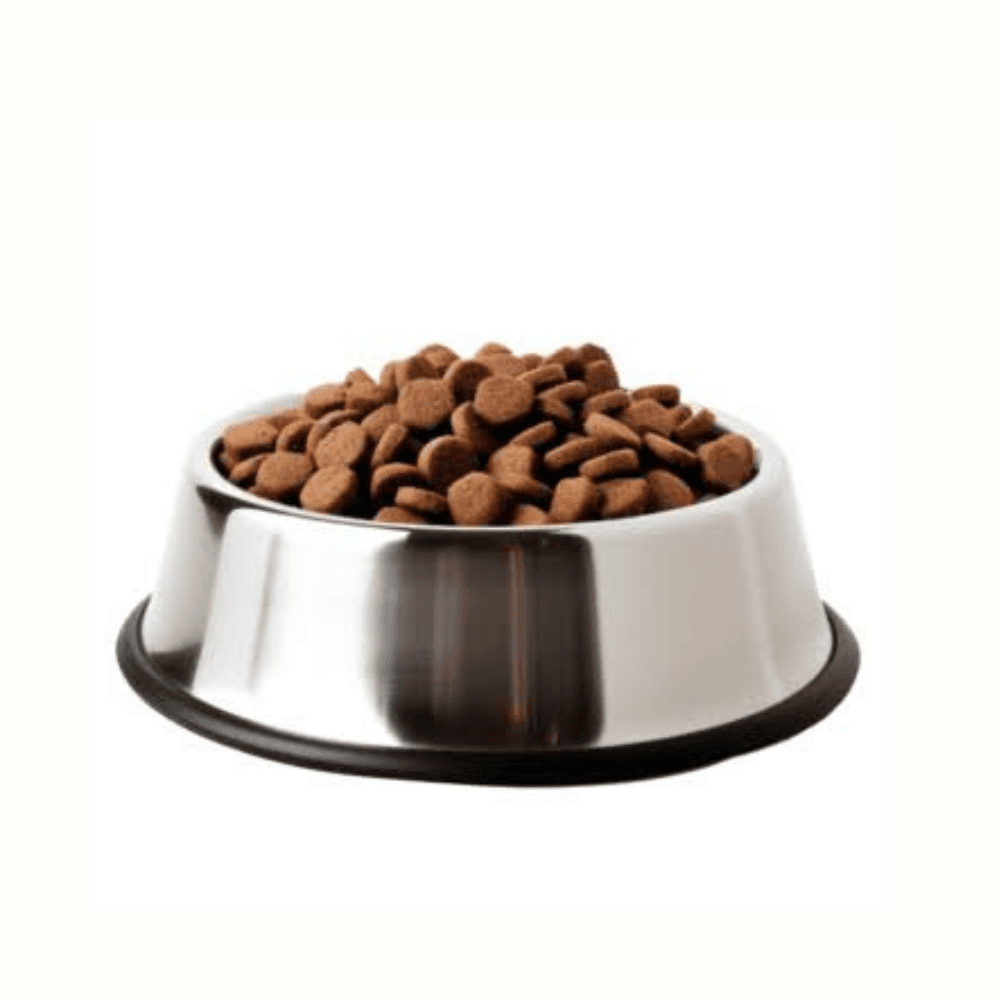 Pet Bowl